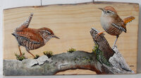 Schilderij winterkoninkjes op hout 33 x 18 cm.