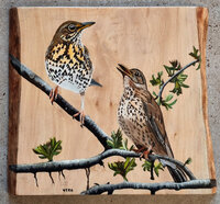 Schilderij zanglijsters op hout 26 x 23 cm.