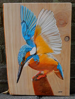 Schilderij ijsvogel op hout 22 x 30 cm.