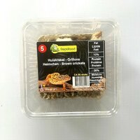 Krekel maat 5