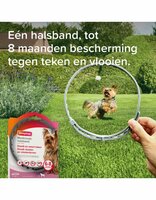 Beaphar Medicinale Halsband Hond tot 8 kg | Tot 8 maanden bescherming