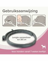 Beaphar Medicinale Halsband Hond tot 8 kg | Tot 8 maanden bescherming