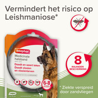 Beaphar Medicinale Halsband Hond vanaf 8 kg | Tot 8 maanden bescherming