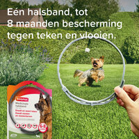 Beaphar Medicinale Halsband Hond vanaf 8 kg | Tot 8 maanden bescherming