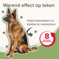 Beaphar Medicinale Halsband Hond vanaf 8 kg | Tot 8 maanden bescherming