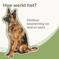 Beaphar Medicinale Halsband Hond vanaf 8 kg | Tot 8 maanden bescherming