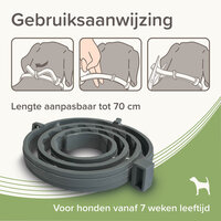 Beaphar Medicinale Halsband Hond vanaf 8 kg | Tot 8 maanden bescherming