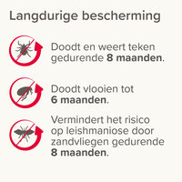 Beaphar Medicinale Halsband Hond vanaf 8 kg | Tot 8 maanden bescherming