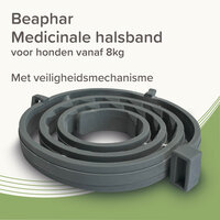 Beaphar Medicinale Halsband Hond vanaf 8 kg | Tot 8 maanden bescherming