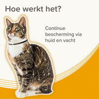 Beaphar Medicinale Halsband Kat | Tot 8 maanden bescherming tegen teken