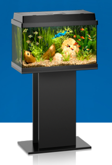 Juwel - rekord 600 aquarium 61x31x42 cm zwart