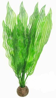 SuperFish Easy Plant Hoog 30cm Nr 5