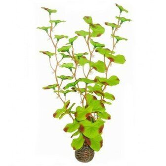 SuperFish Easy Plant Hoog 30cm Nr 13