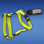 Rogz Safety Belt Car Clip Blue