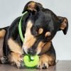 Rogz Fred Treat Ball Lime
