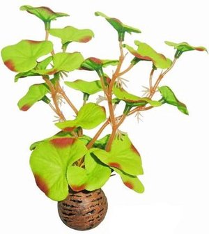 SuperFish Easy Plant Laag 13cm Nr 1