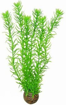 SuperFish Easy Plant Hoog 30cm Nr 1