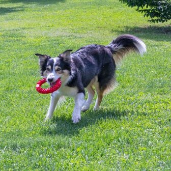 Ferplast SMILE dog-dental-toy