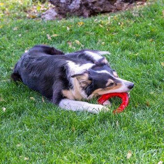 Ferplast SMILE dog-dental-toy