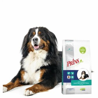 Prins Procare Croque Diet Gastro-Intestinal Zalm - Hondenvoer - 10 kg