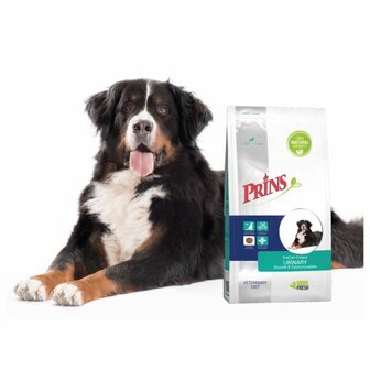 Prins Procare Croque Diet Urinary - Hondenvoer - 3 kg