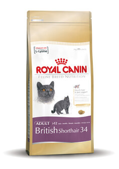 Royal Canin British Shorthair 34