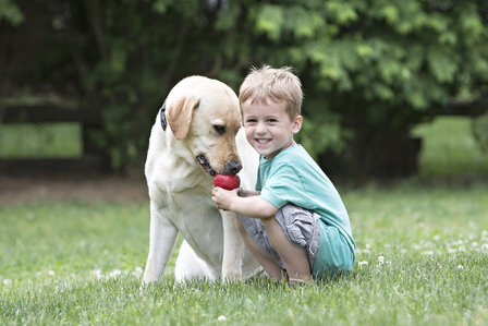 Kong hond Classic rubber rood