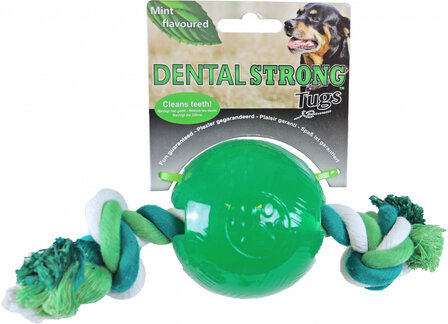 Dental Strong rubber bal met floss 8,5 cm, groen