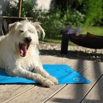 Petlando cooling mat (koelmat) blauw