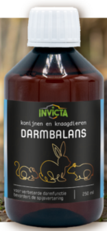 Invicta Darmbalans 100 ml