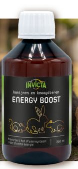 Invicta Energy Boost 100 ml