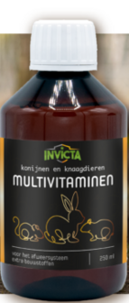 Invicta Multivitaminen 100 ml