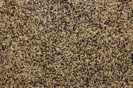 Pets &amp; Co Kanariezaad 20 kg