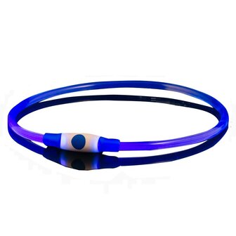 Bee Seen Dog Led Band USB Blue