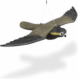 big cheese flying Falcon vogel verjager