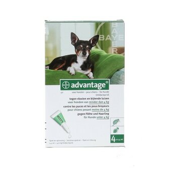 Advantage Hond 40 4 Pipetten