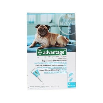 Advantage Hond 100 4 Pipetten