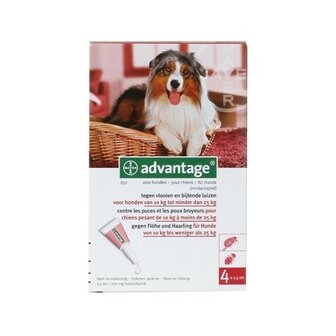 Advantage Hond 250 4 Pipetten