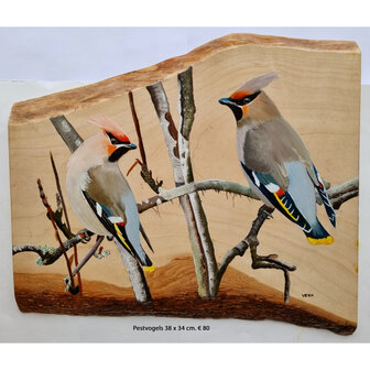 Schilderij pestvogels op hout 38 x 34 cm.