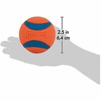 Chuckit! Ball Ultra Squeaker Medium 2 stuks 6,5 cm oranje