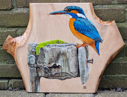 Schilderij ijsvogel op hout 40 x 30 cm.