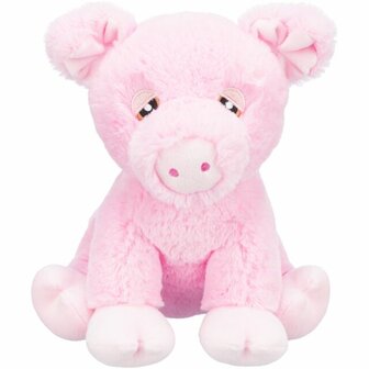Trixie Piggy speelgoed