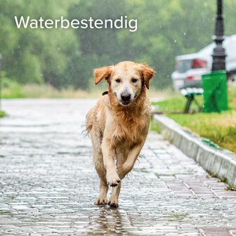 Beaphar ProtectTix hond 4-10 kg 4 pip vlooienbestrijding