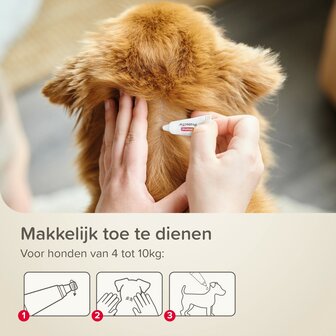 Beaphar ProtectTix hond 4-10 kg 4 pip vlooienbestrijding