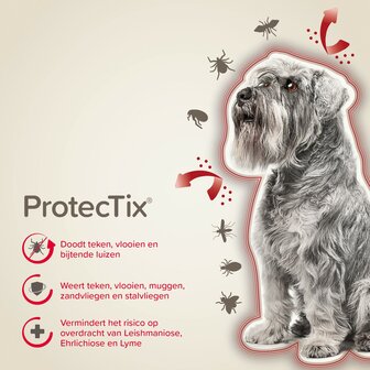 Beaphar ProtectTix hond 4-10 kg 4 pip vlooienbestrijding