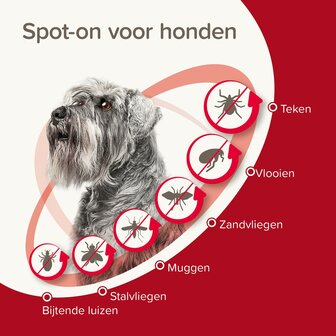 Beaphar ProtectTix hond 4-10 kg 4 pip vlooienbestrijding