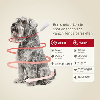 Beaphar ProtectTix hond 4-10 kg 4 pip vlooienbestrijding