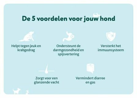 Dogsuppy Anti-Jeuk met Rund Probiotica 60 stuks