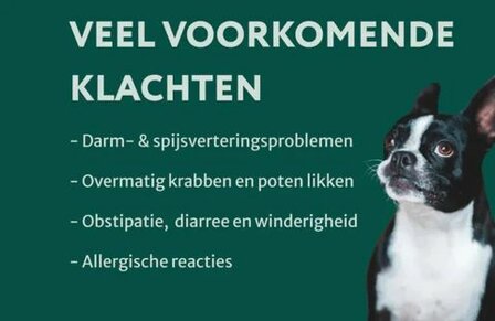 Dogsuppy Probiotica Forte kip Spijsvertering en darmflora 60 stuks