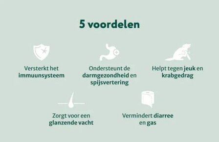 Dogsuppy Probiotica Forte kip Spijsvertering en darmflora 60 stuks